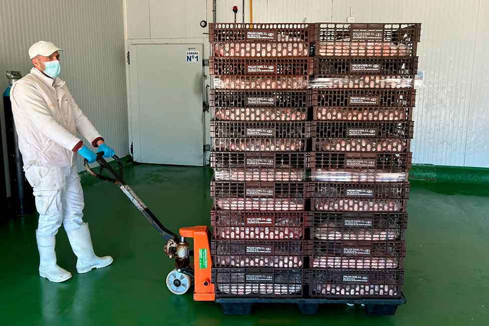 Cadena de frio - Pollos cano