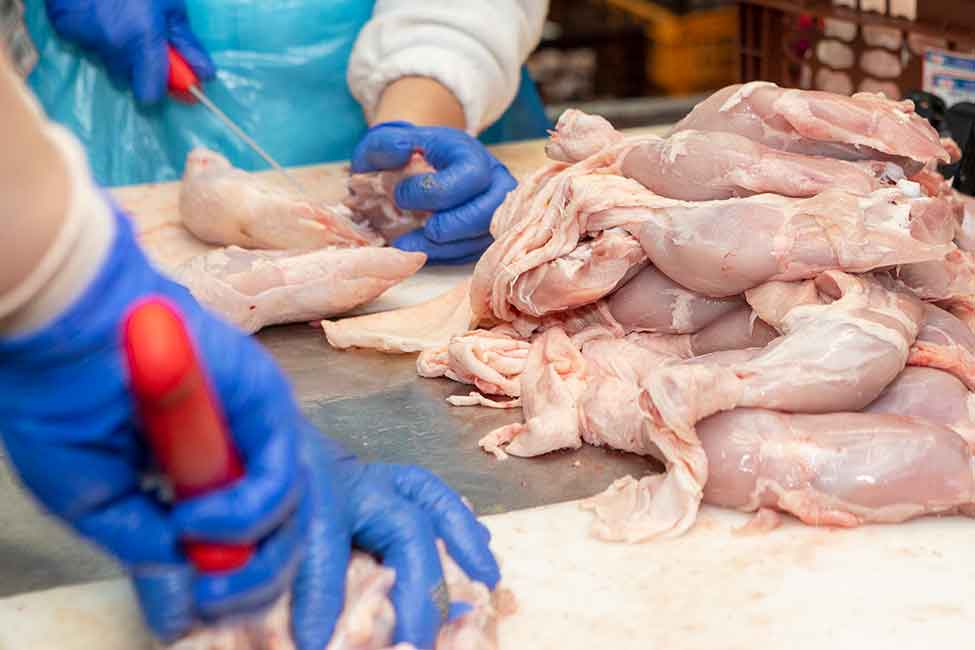 Despiece Pollos cano