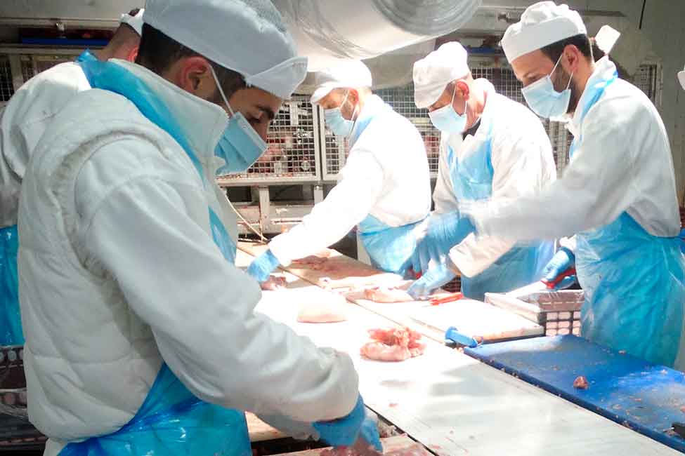 Sala de despiece pollos cano