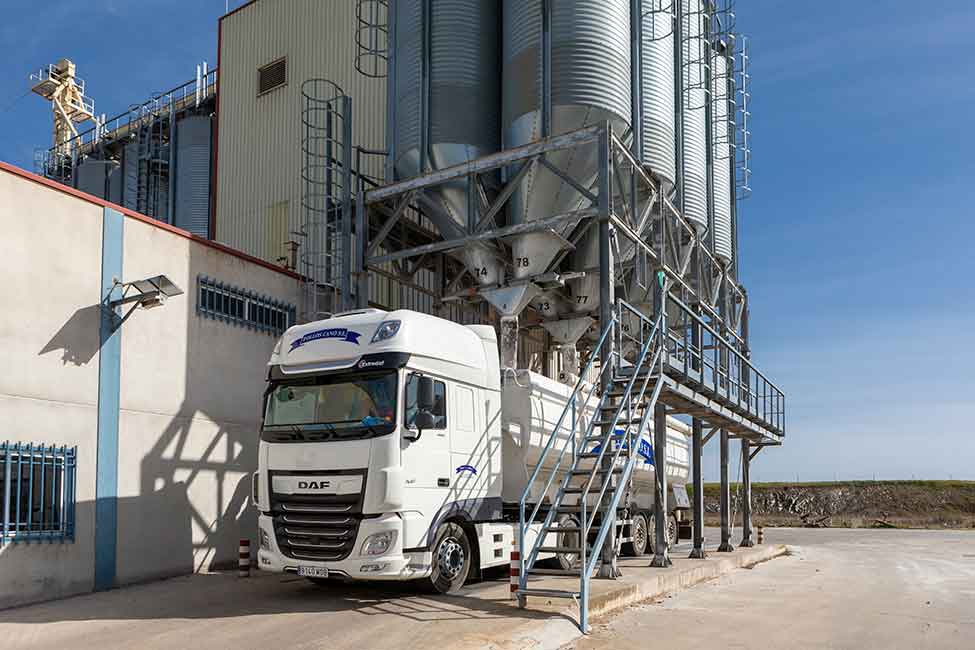 Pienso para el bienestar animal Pollos cano